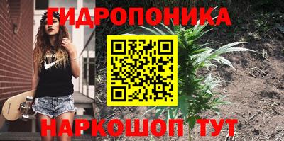 спайс Новозыбков