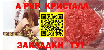 эйфоретик Новокубанск