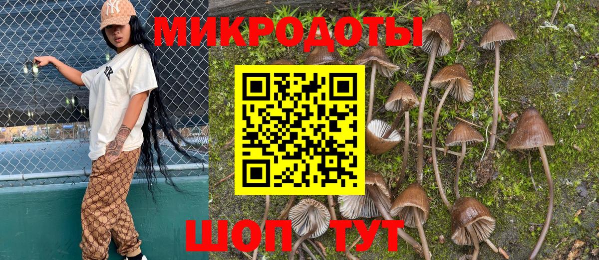 Галлюциногенные грибы мухоморы Сочи