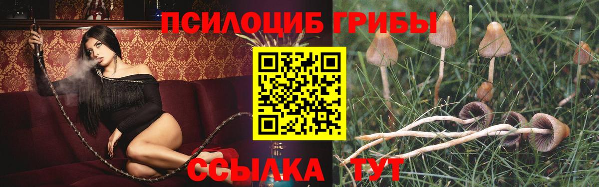 Сочи  Галлюциногенные грибы GOLDEN TEACHER  Вход с VPN 